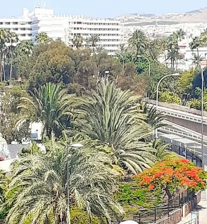 Seven Floor At Apartment *